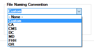 FileNaming_Dropdown_Custom