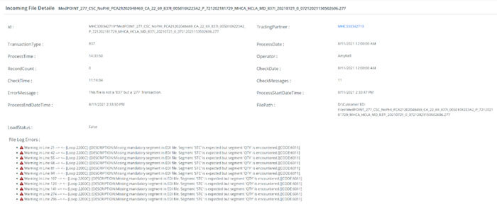 Errors found in the file